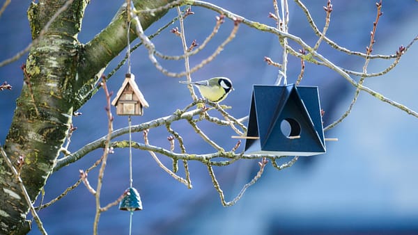 Best Squirrel-Proof Bird Feeders That Actually Work